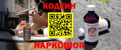 индика Сланцы