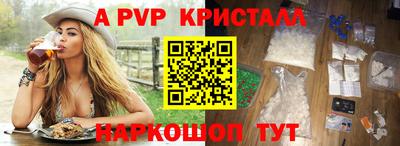 индика Сланцы