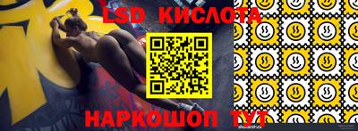a pvp Славгород