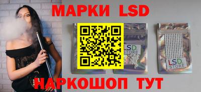 индика Сланцы
