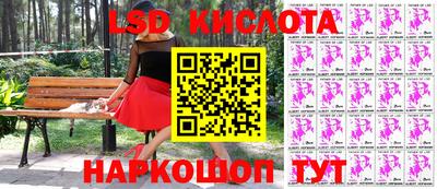 индика Сланцы