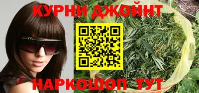 индика Сланцы