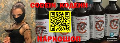 индика Сланцы