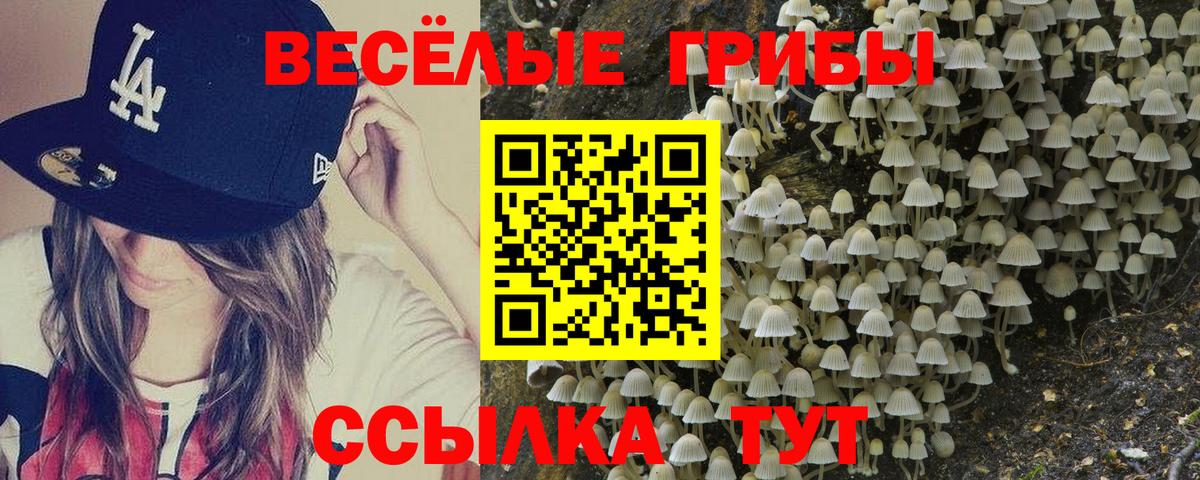 Новый Уренгой  Галлюциногенные грибы прущие грибы  Вход с VPN 