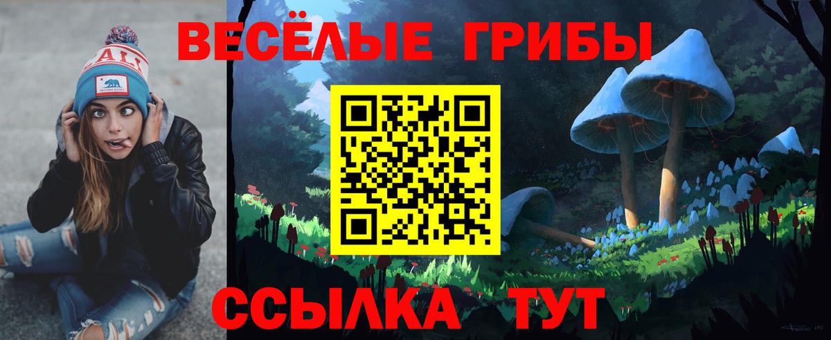 Галлюциногенные грибы GOLDEN TEACHER Новый Уренгой